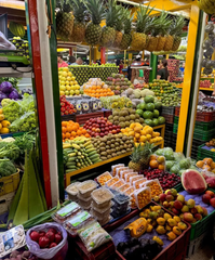 Tour Plaza minorista